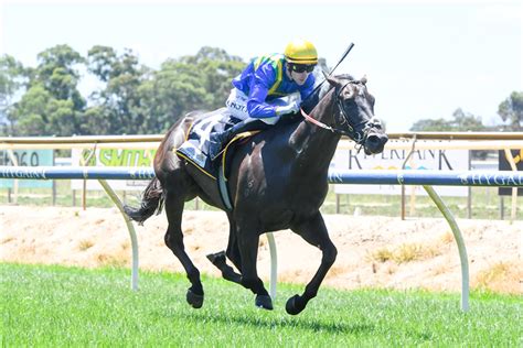 jobs at sportsbet|Race 4 Benalla Ca Sinclair Pork Wholesalers Mdn Plate.